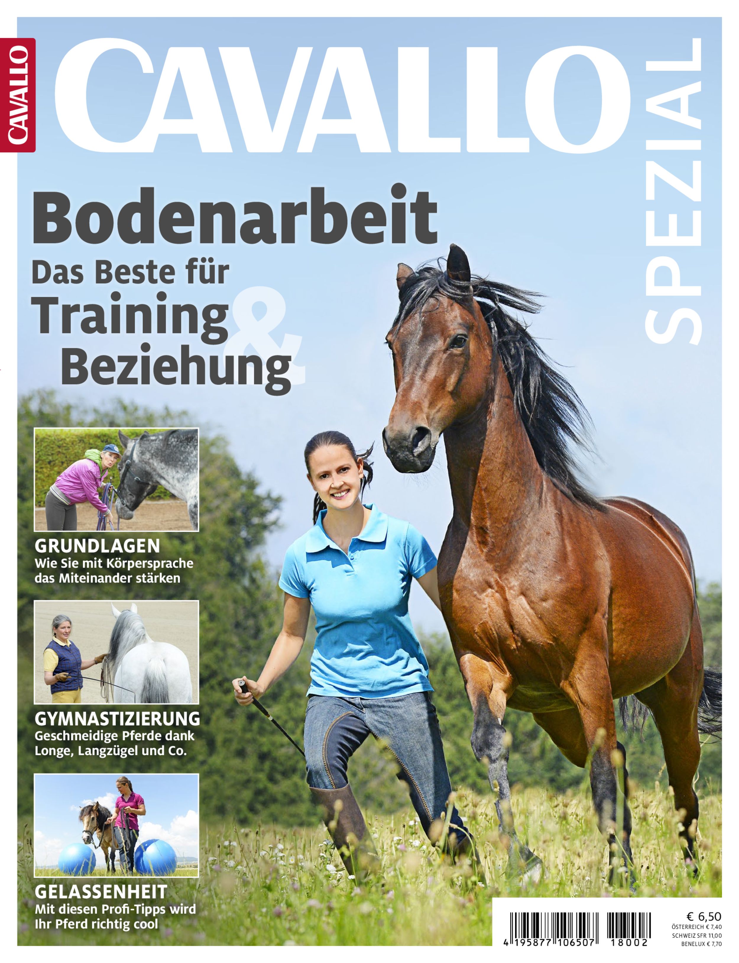 CAVALLO Sonderheft ePaper 02/2018