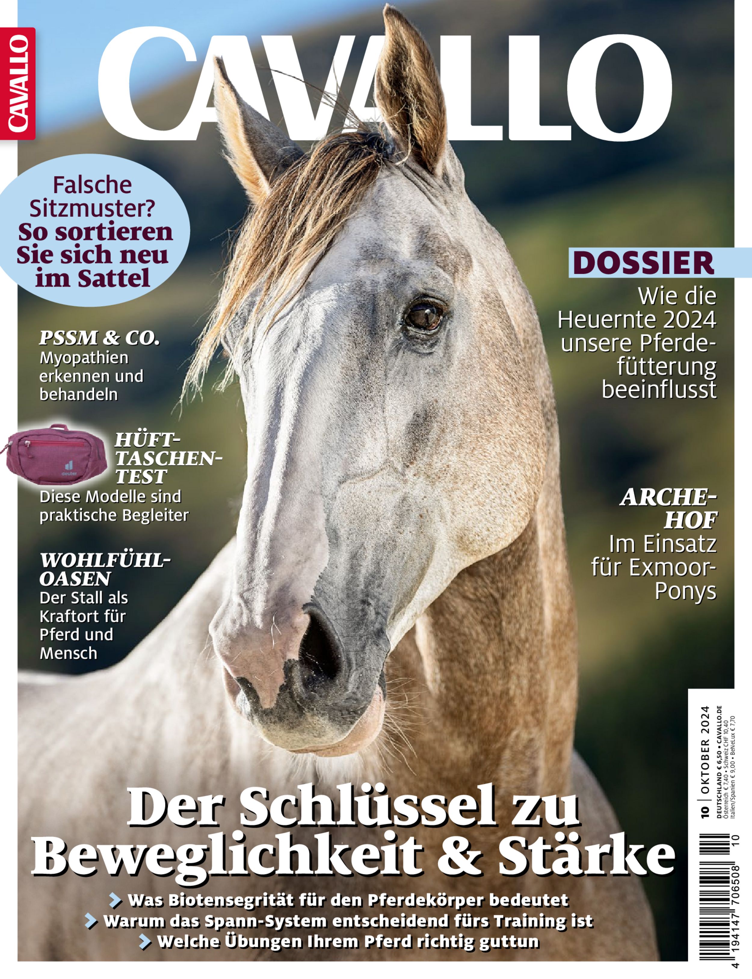 CAVALLO ePaper 10/2024