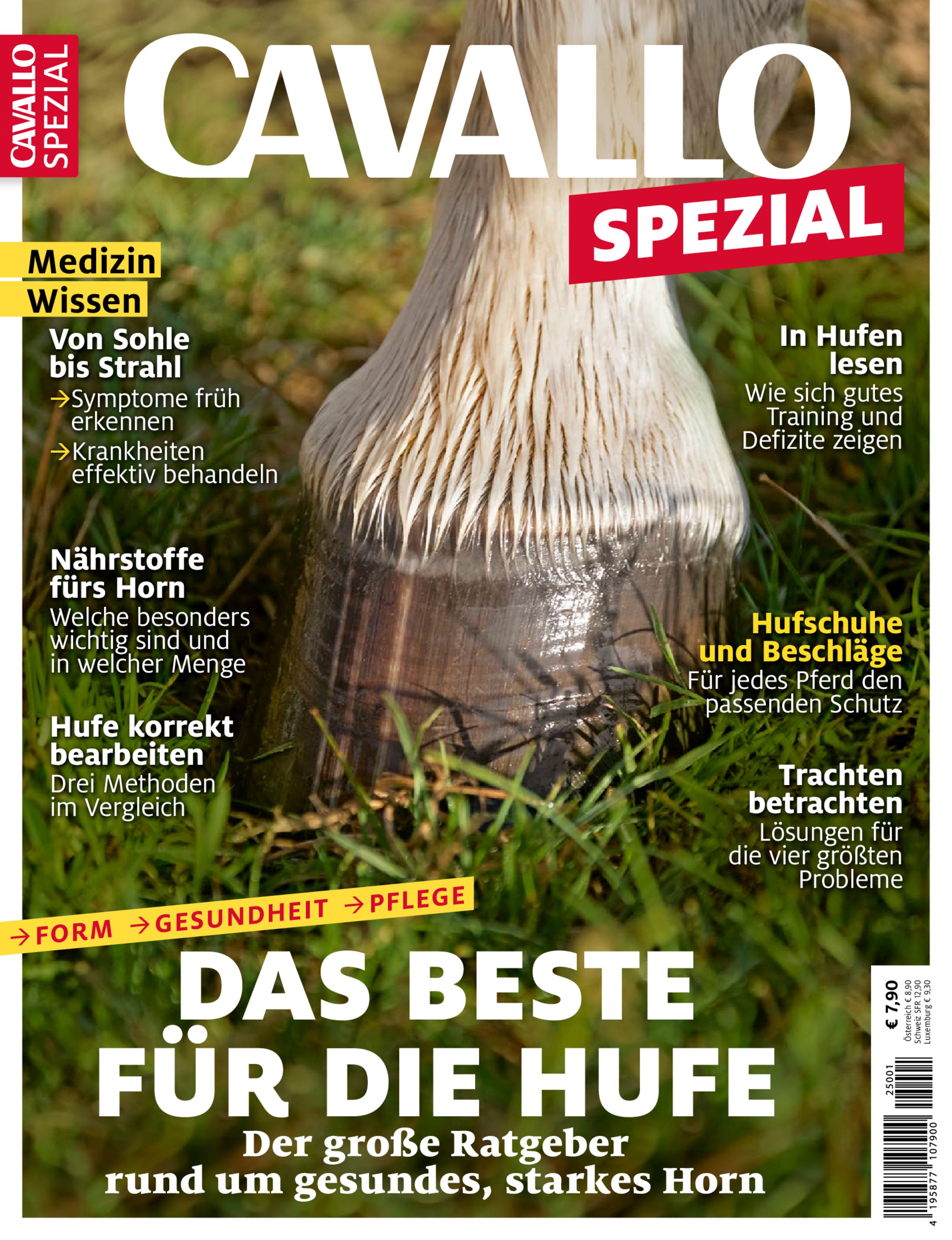 CAVALLO SPEZIAL 1/25