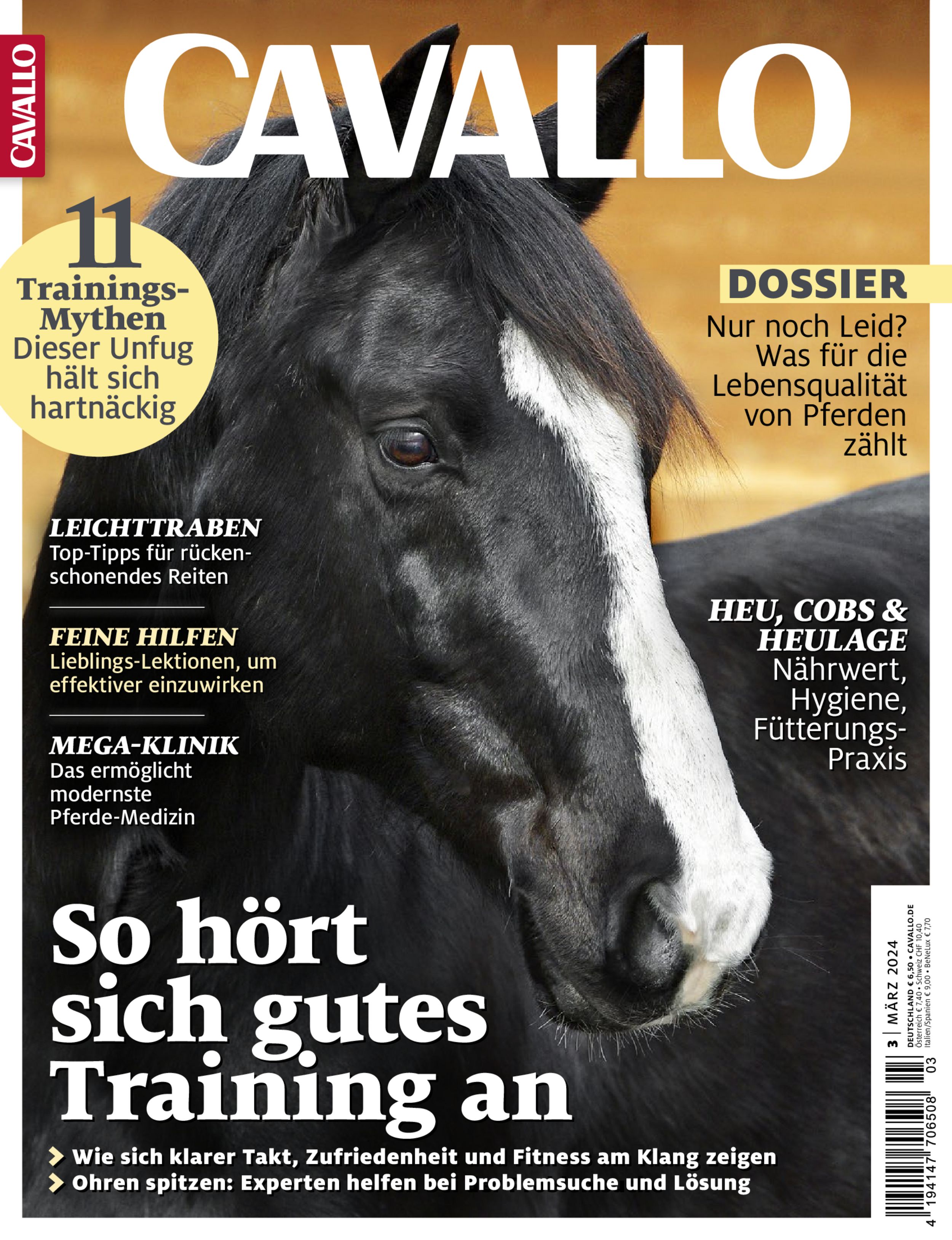 CAVALLO ePaper 03/2024