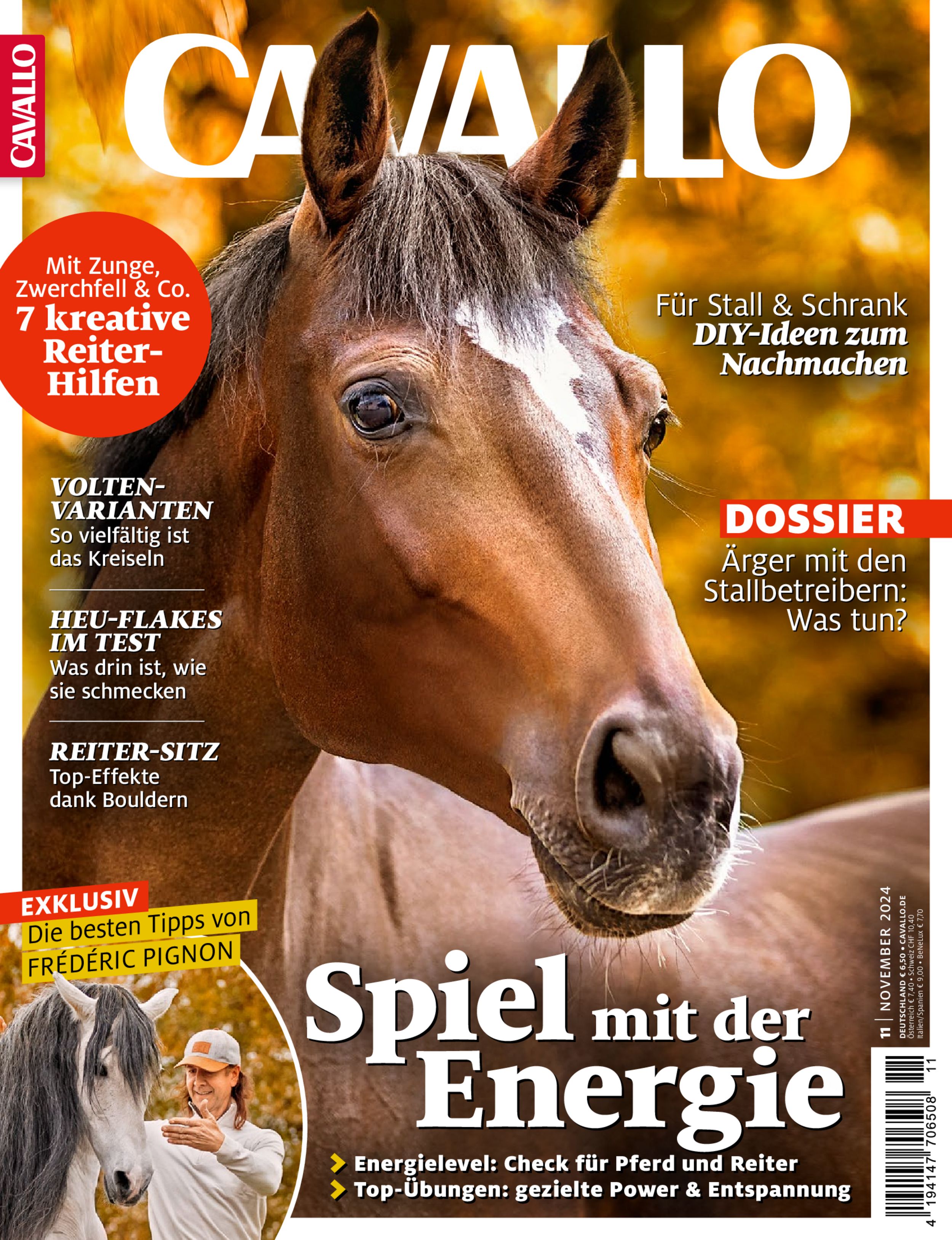 CAVALLO ePaper 11/2024