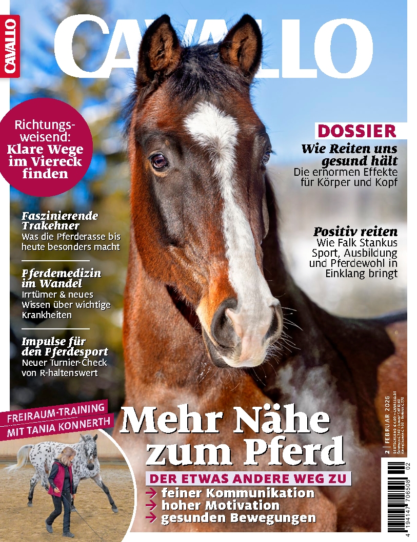 CAVALLO 02/2026