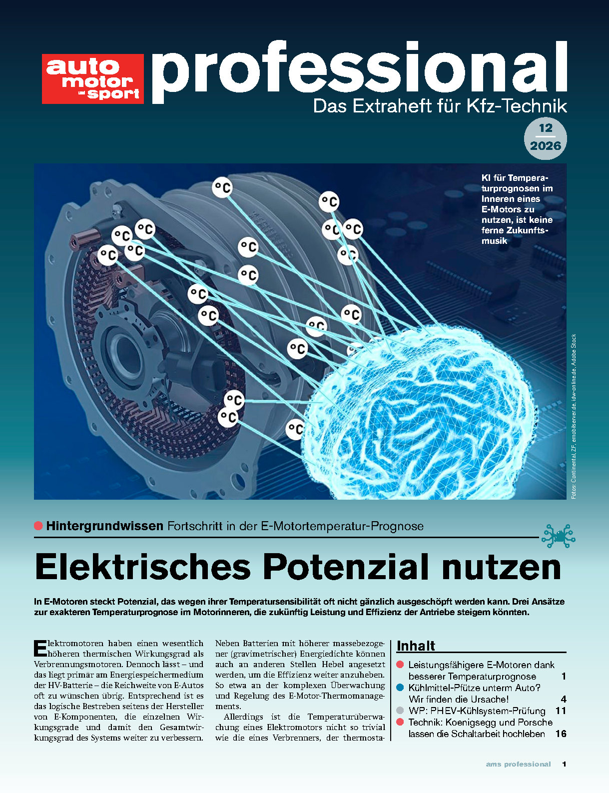 auto motor und sport professional  Print