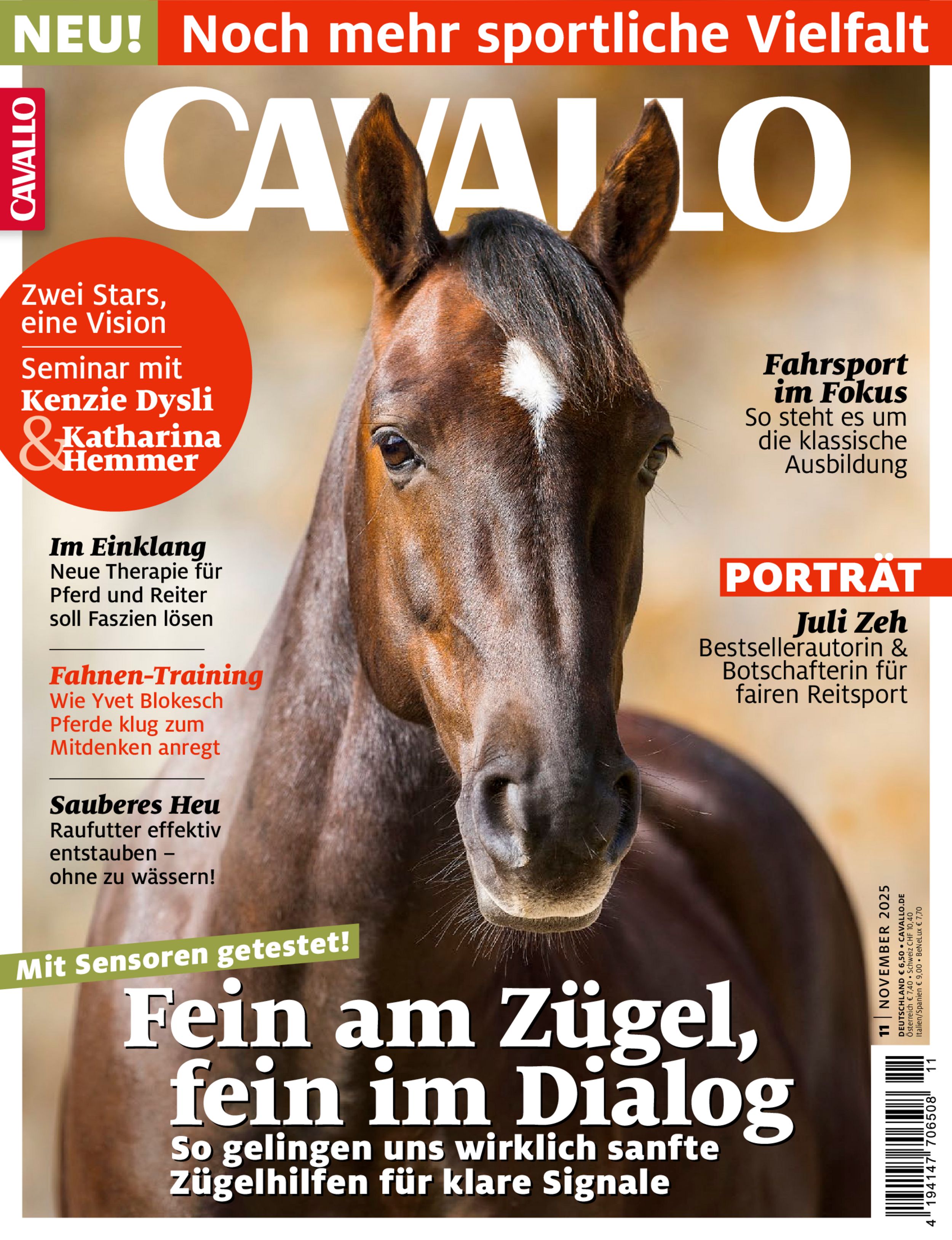 CAVALLO 11/2025