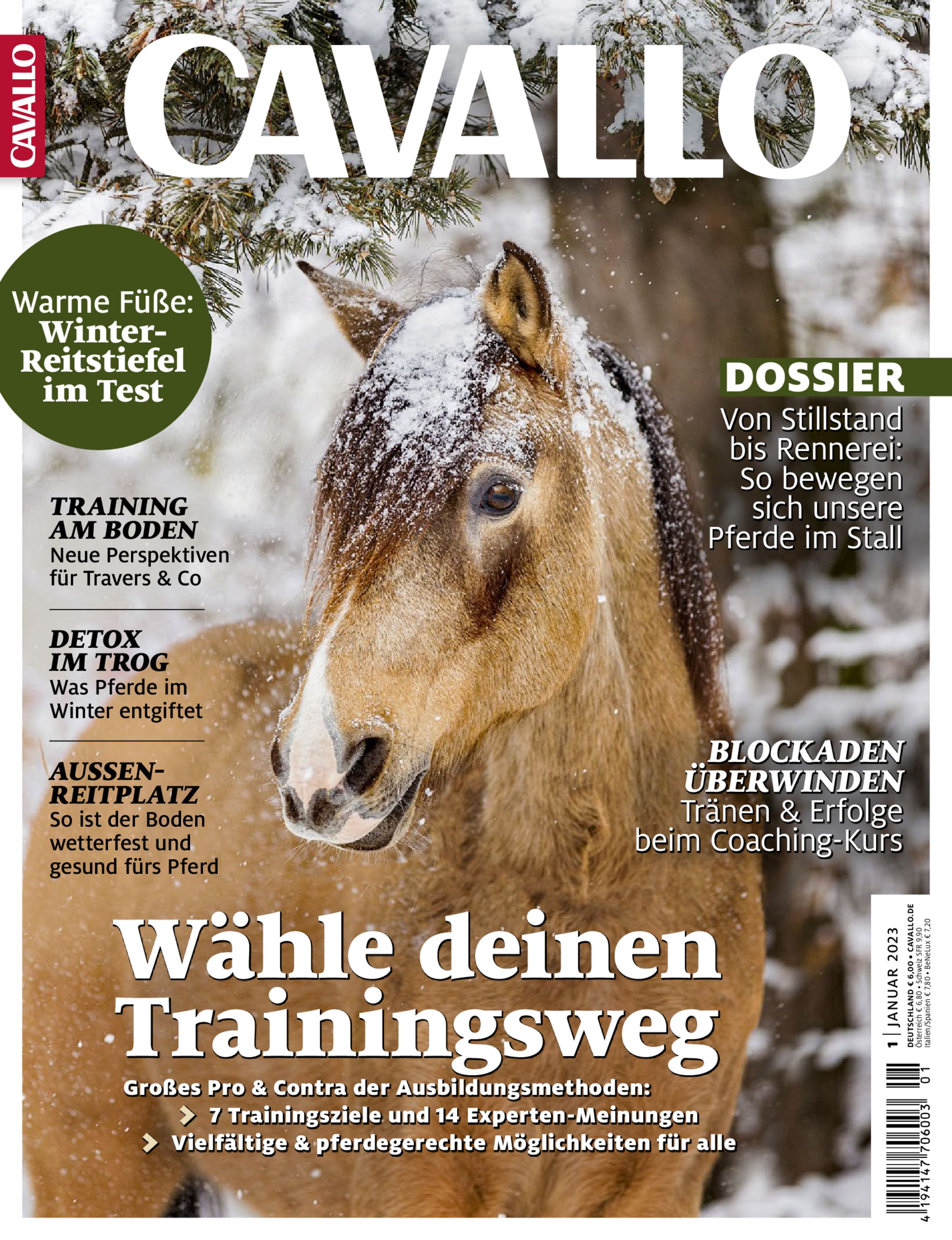 CAVALLO ePaper 01/2023