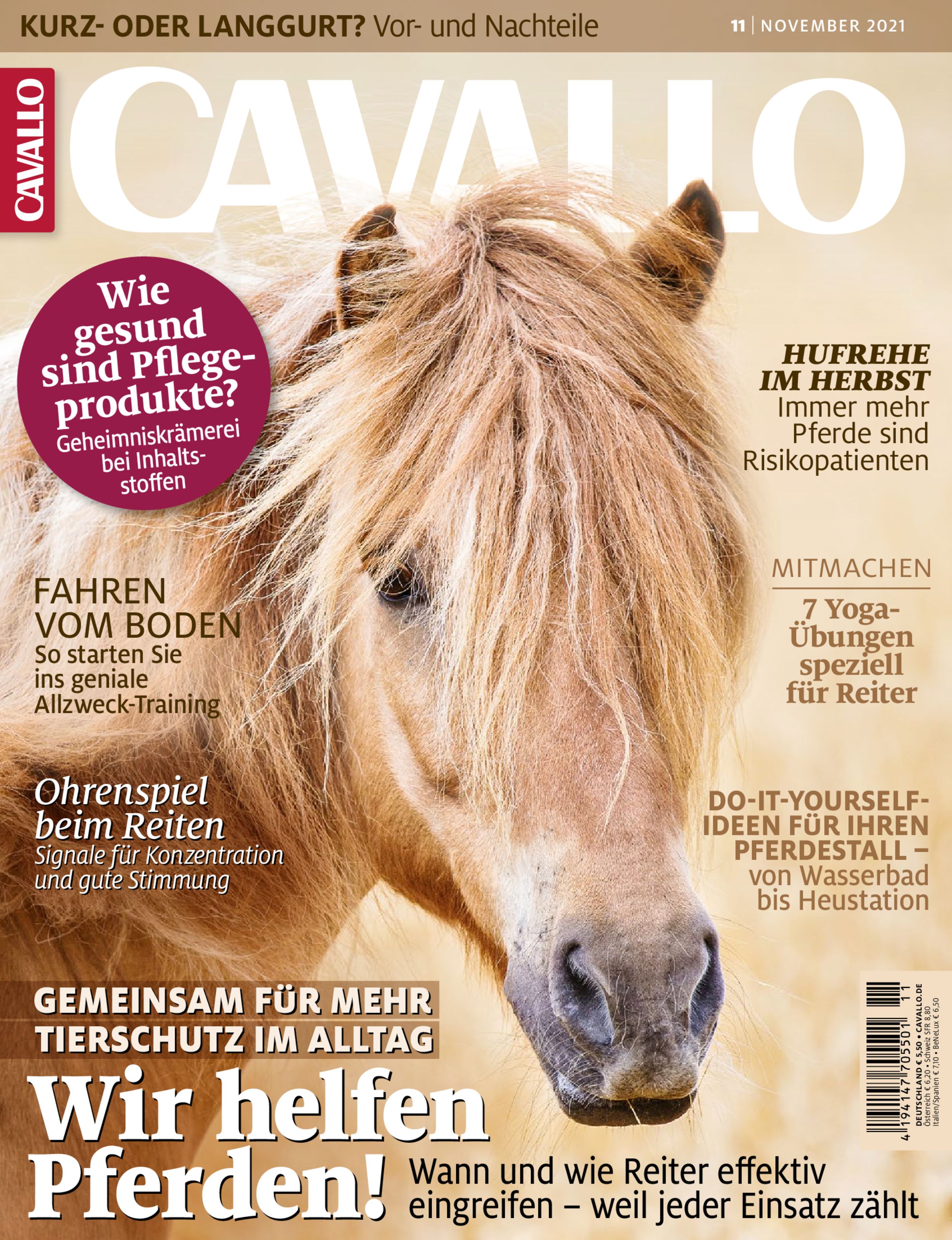 CAVALLO ePaper 11/2021