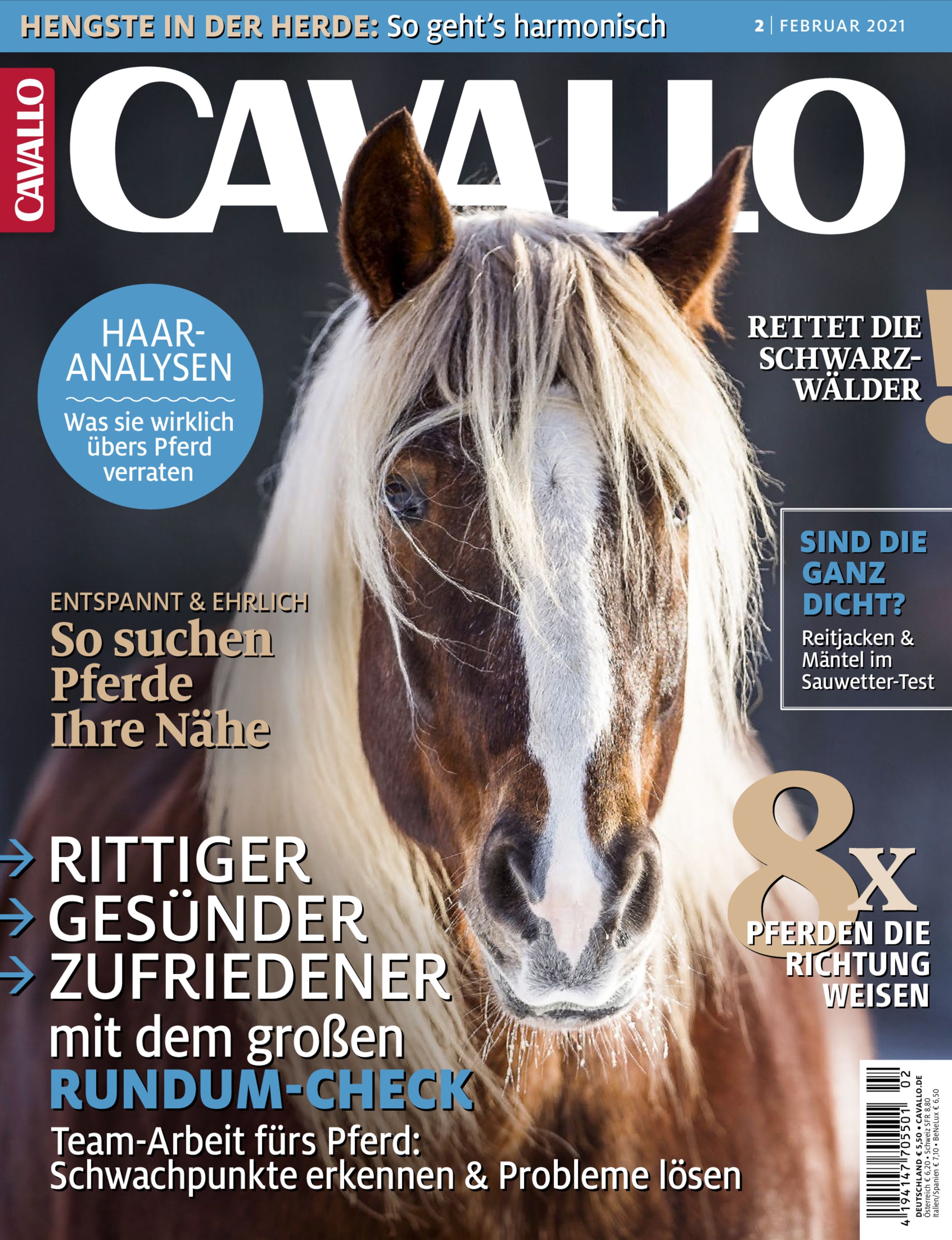 CAVALLO ePaper 02/2021