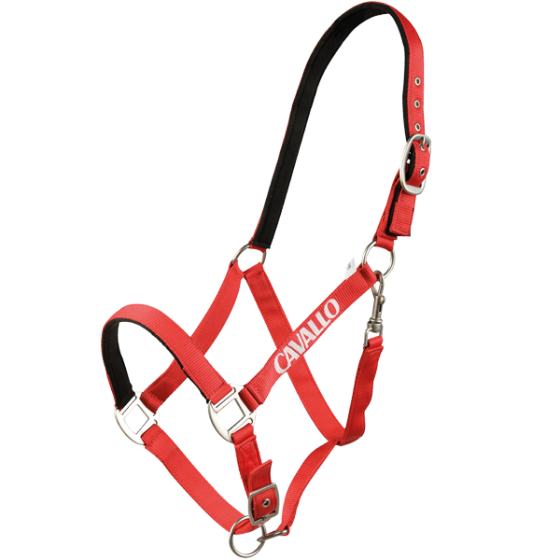 Cavallo Halfter COB rot Waldhausen