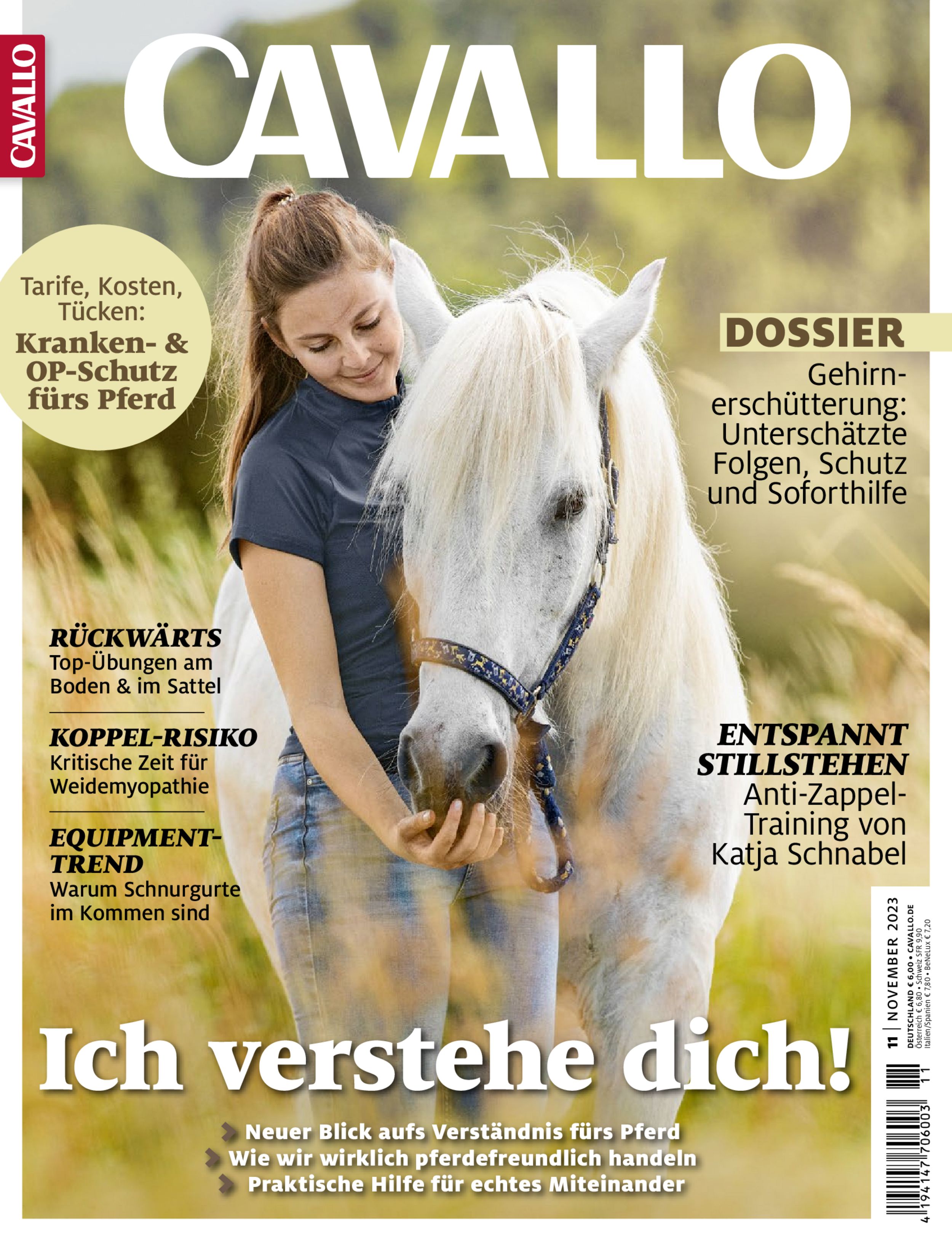 CAVALLO ePaper 11/2023