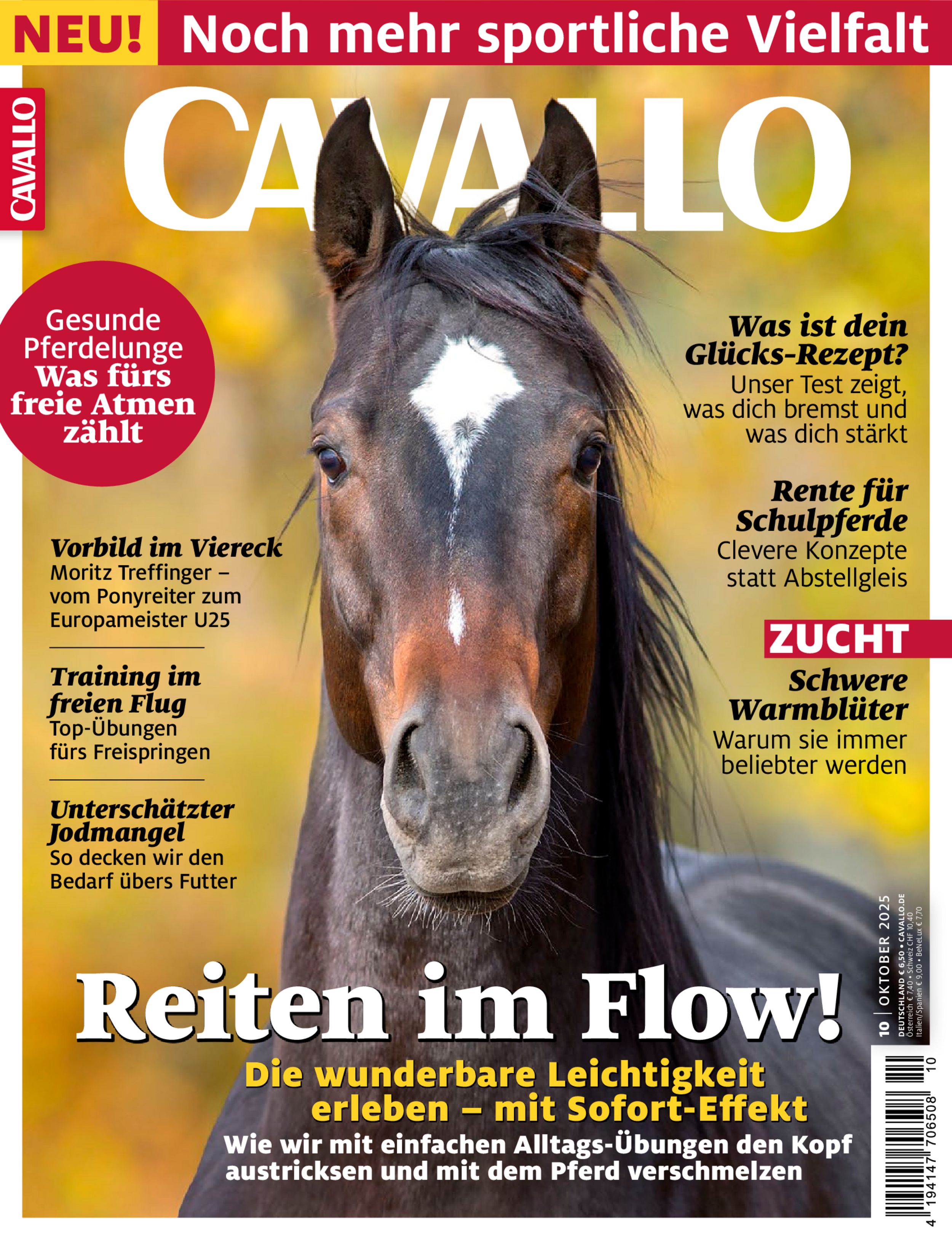 CAVALLO 10/2025