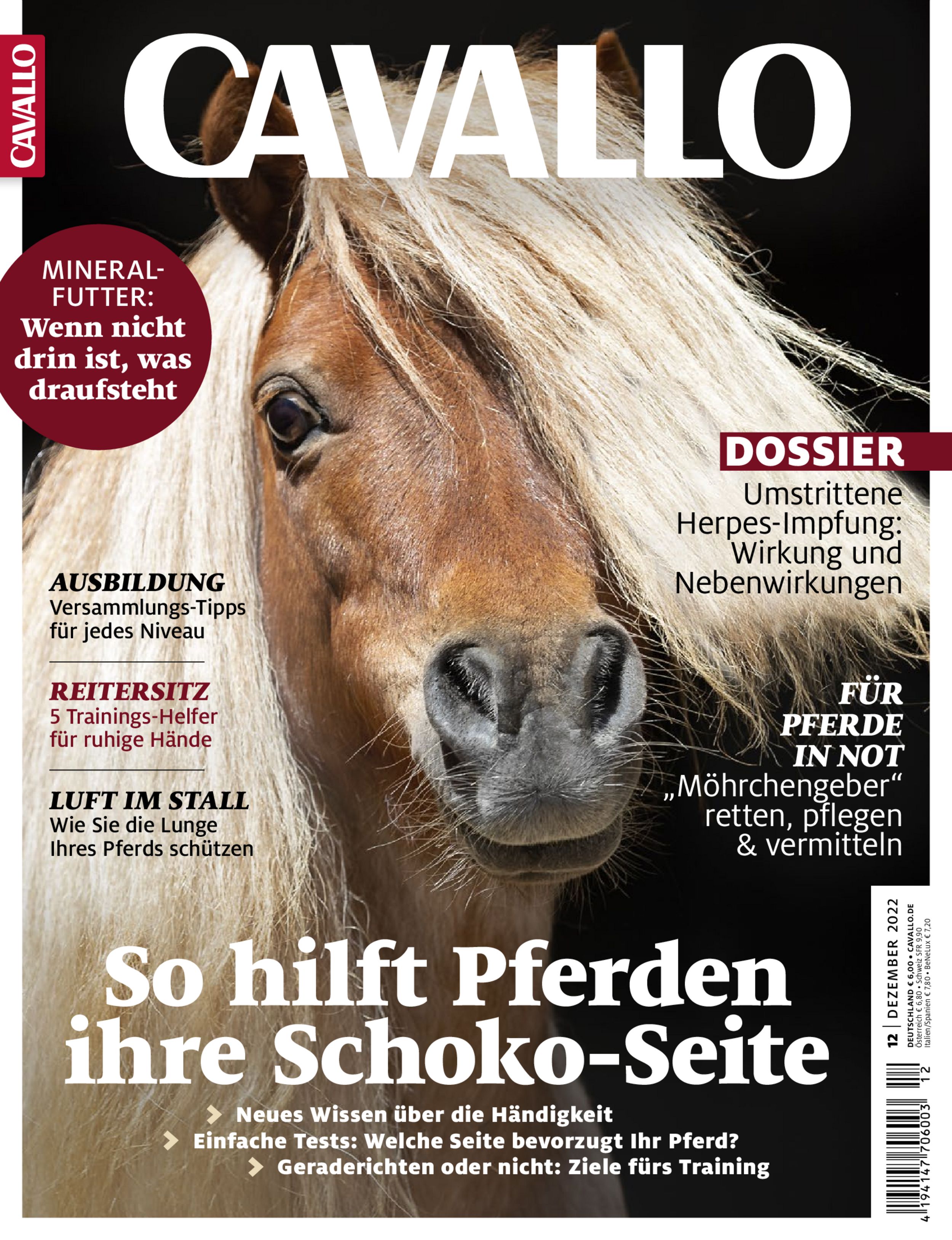 CAVALLO ePaper 12/2022
