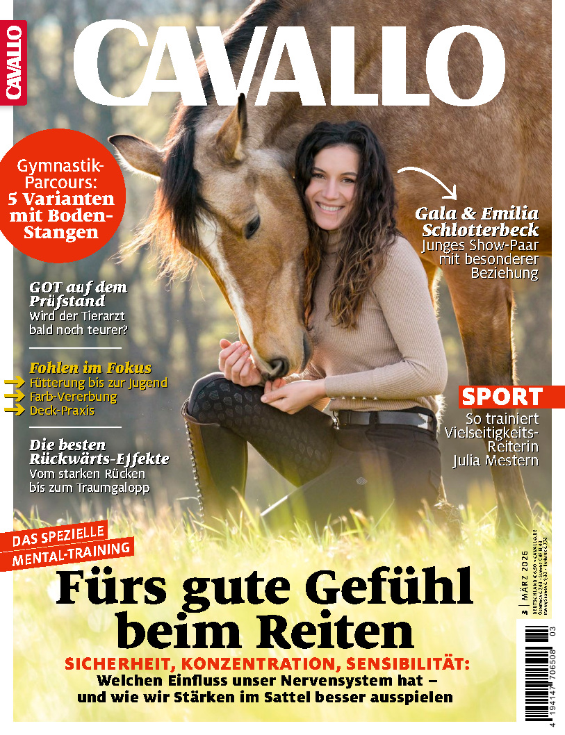 CAVALLO 03/2026