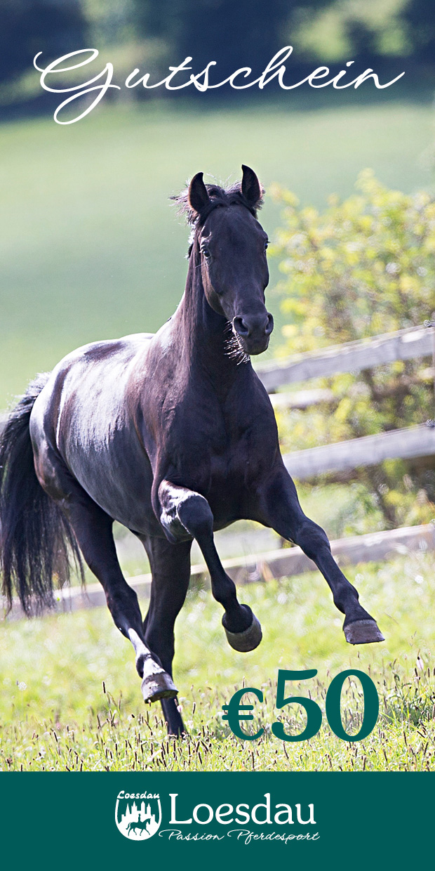50,- &euro; Loesdau-Gutschein Digital