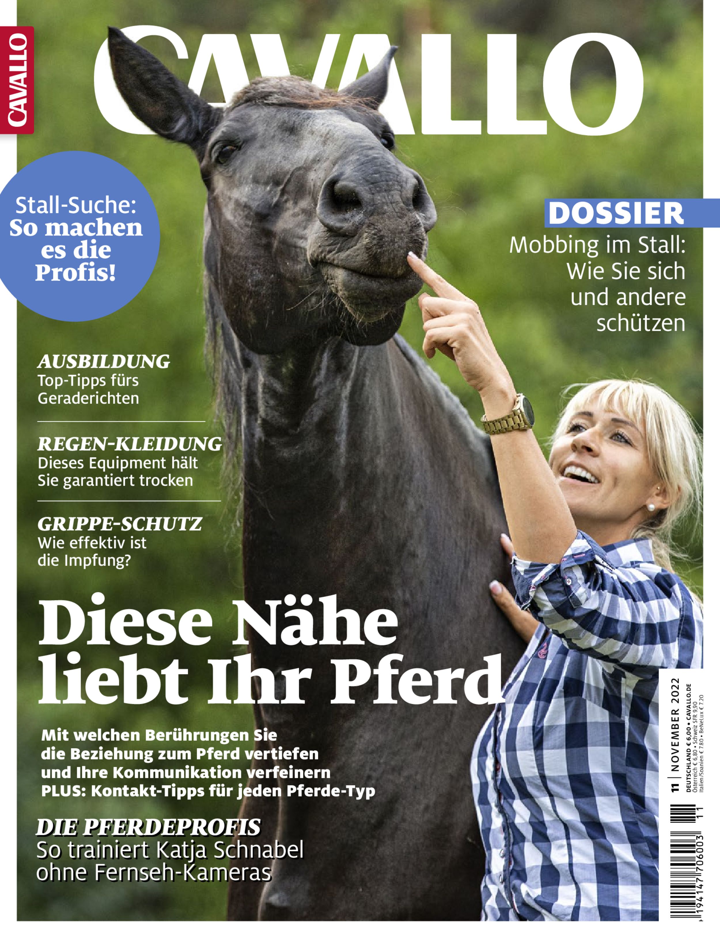CAVALLO ePaper 11/2022