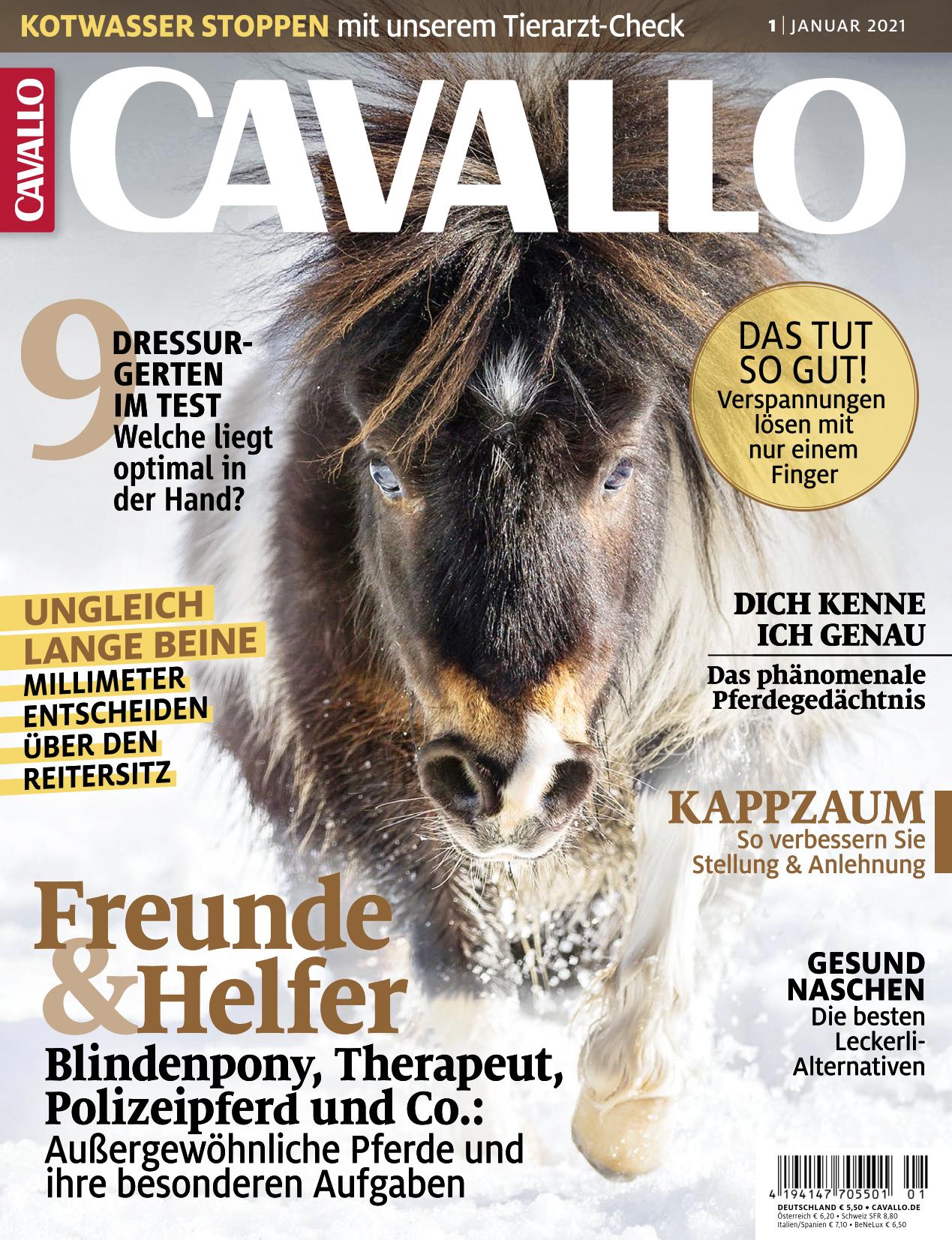 CAVALLO ePaper 01/2021