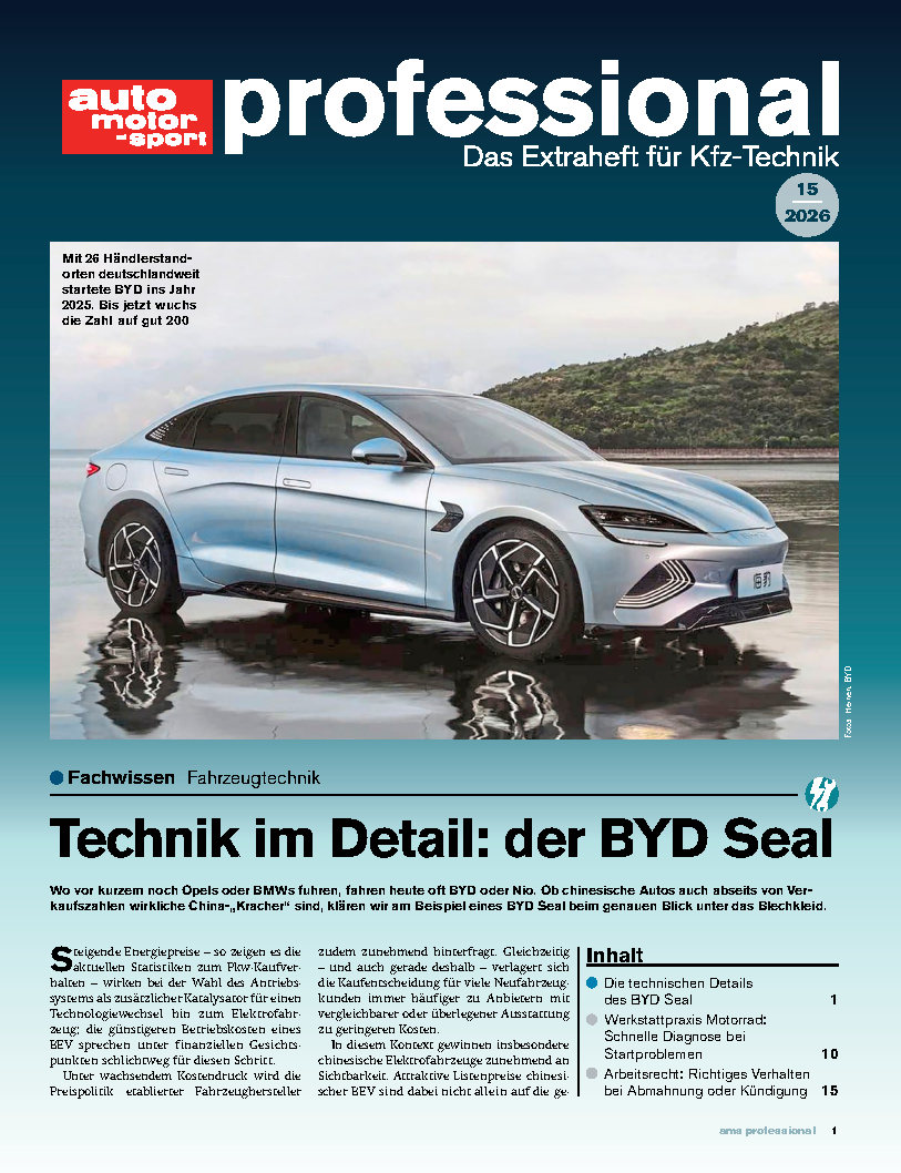 auto motor und sport professional-Wunschabo