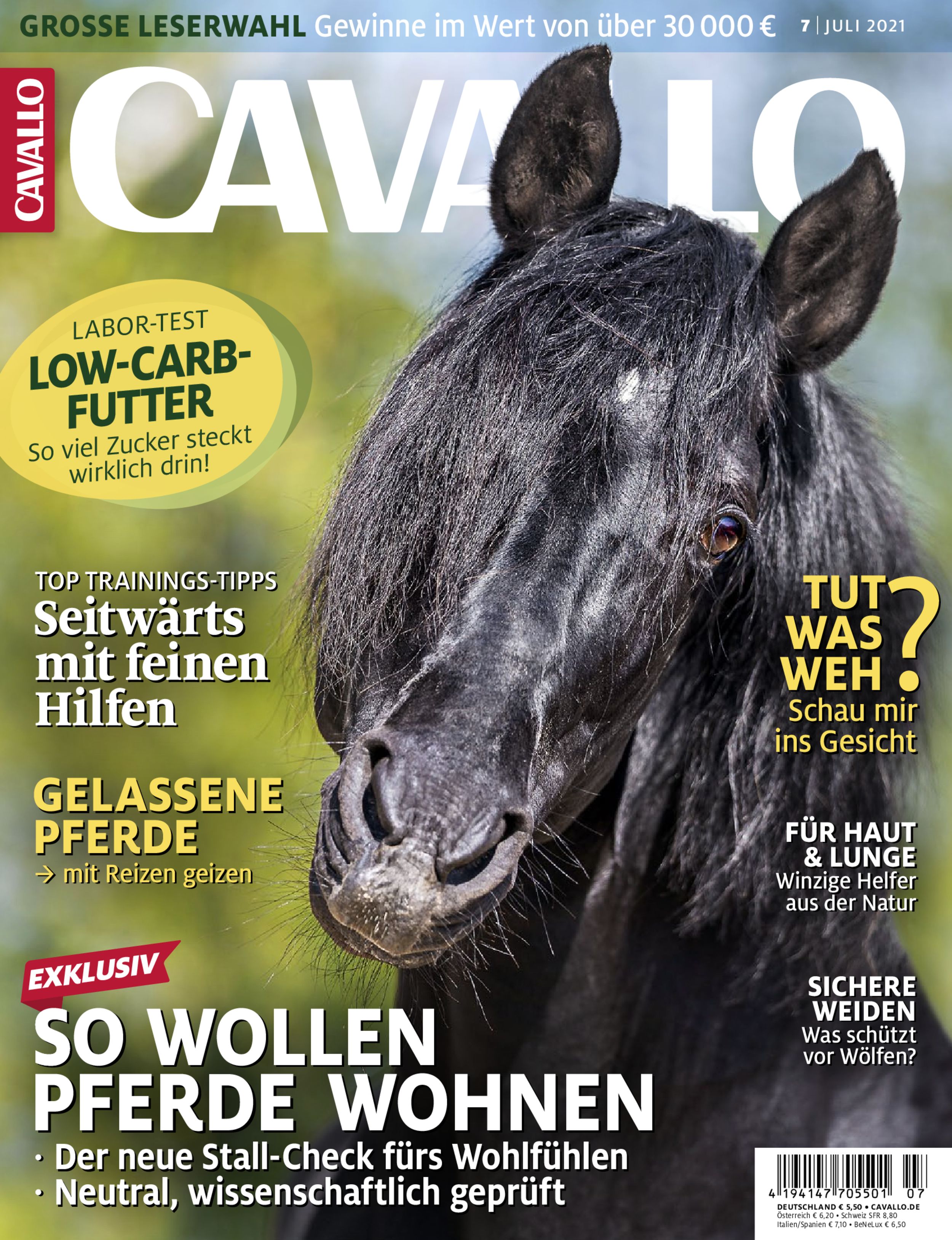 CAVALLO ePaper 07/2021