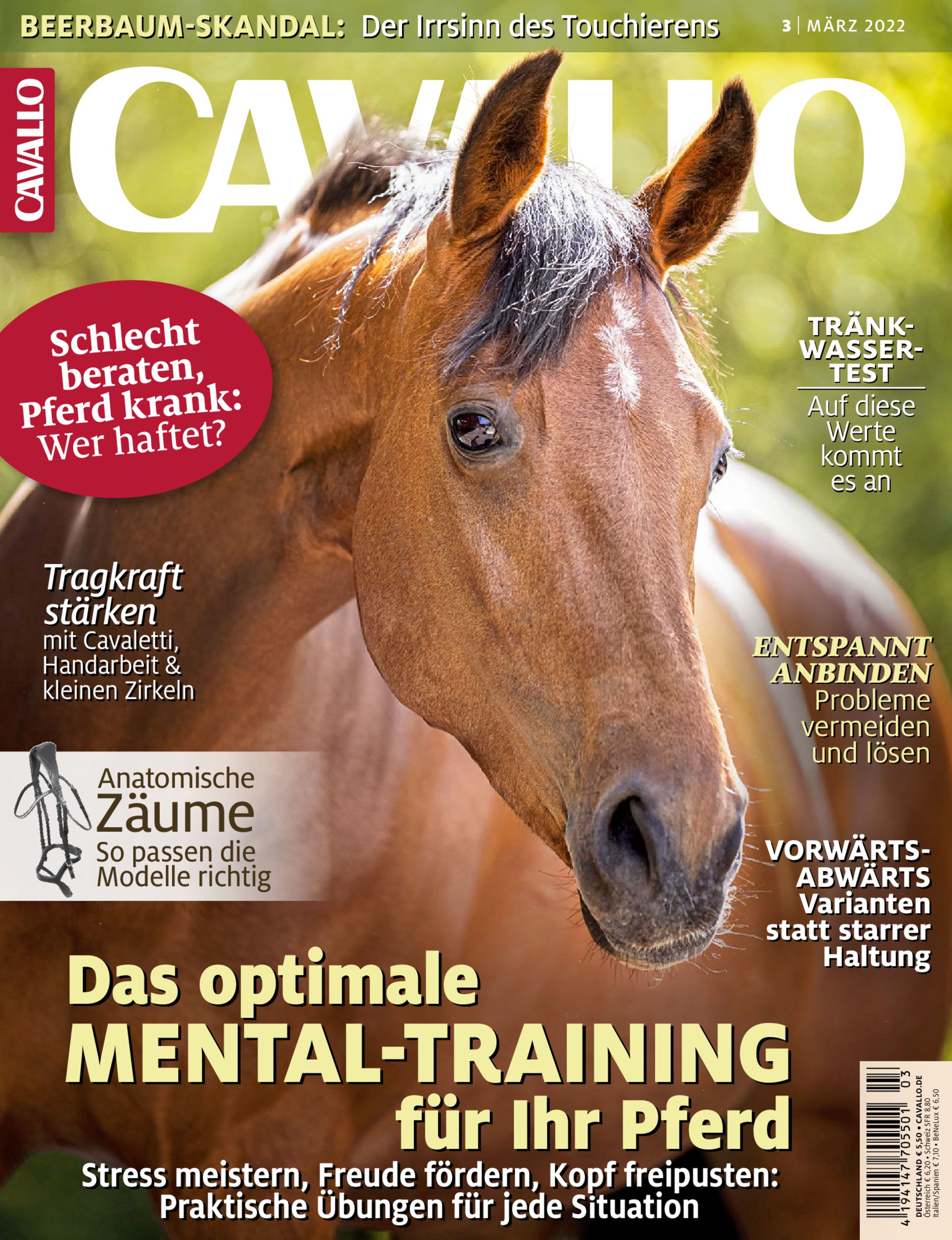CAVALLO ePaper 03/2022