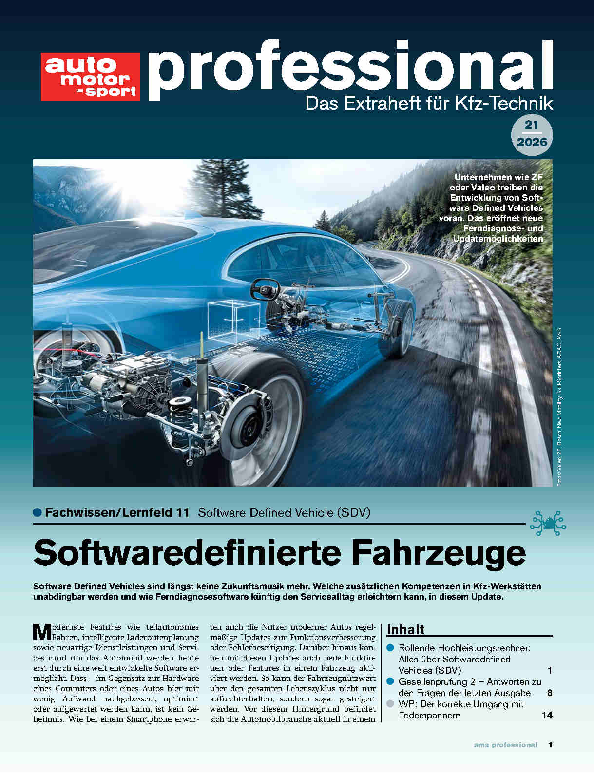 auto motor und sport professional-Wunschabo