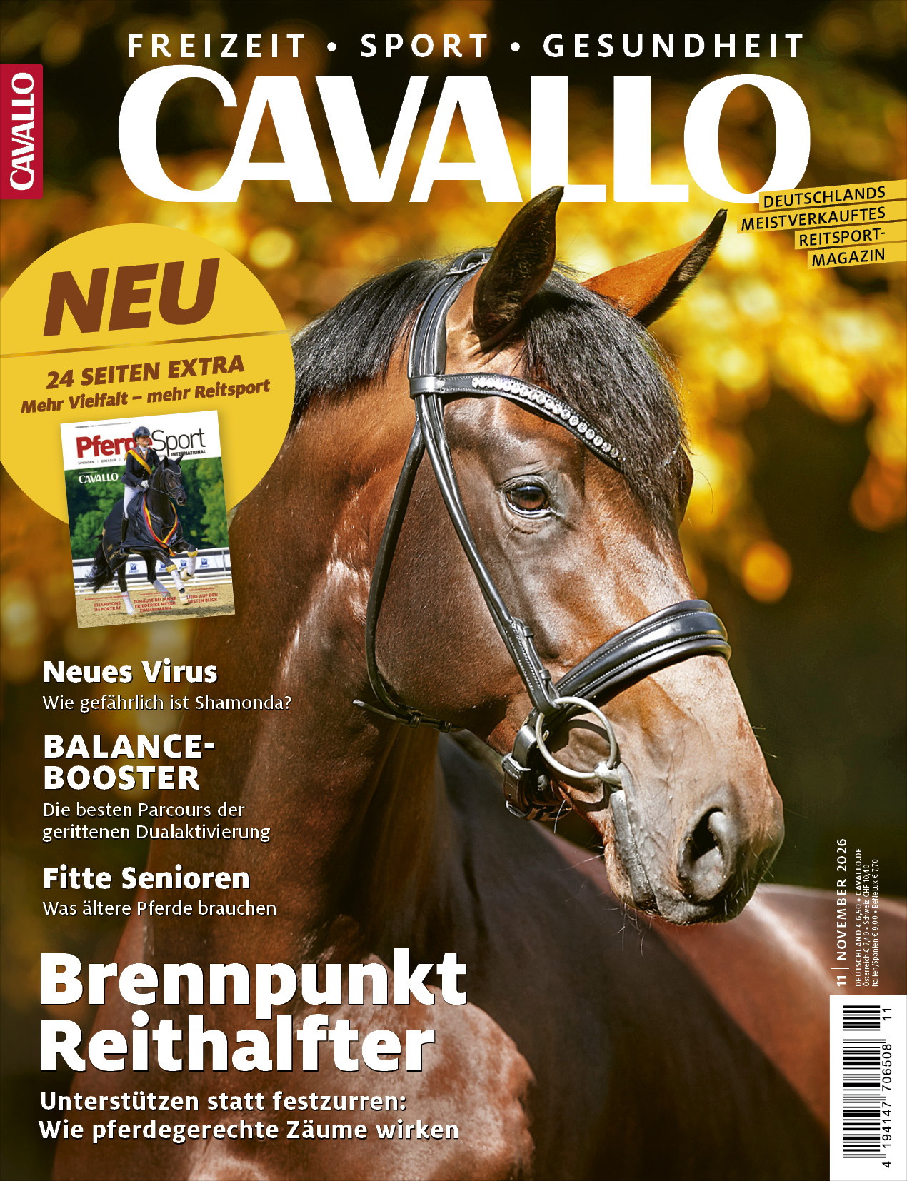 CAVALLO 11/2026