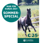 € 25 Loesdau Gutschein 