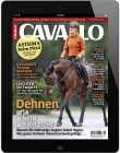 CAVALLO 1/2020 Download 