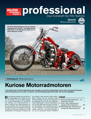 auto motor und sport professional