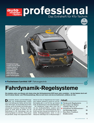 auto motor und sport professional