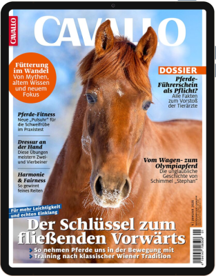 CAVALLO E-Paper 