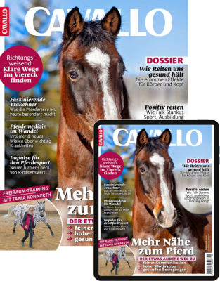 CAVALLO Kombi-Abo