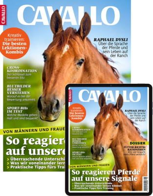 CAVALLO Kombi-Abo 