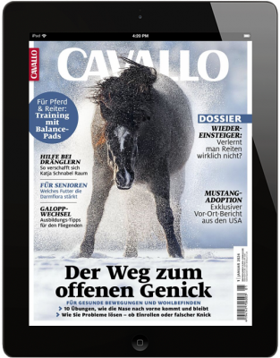 CAVALLO 1/2024 Download 