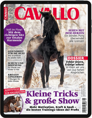 CAVALLO 1/2025 Download 
