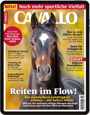CAVALLO E-Paper 