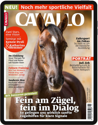 CAVALLO E-Paper Testabo E-Paper