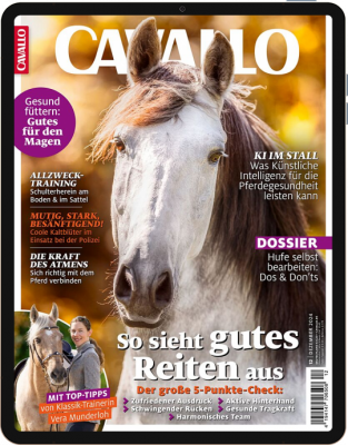 CAVALLO E-Paper 