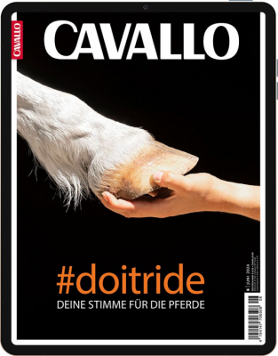 CAVALLO 6/2024 Download 