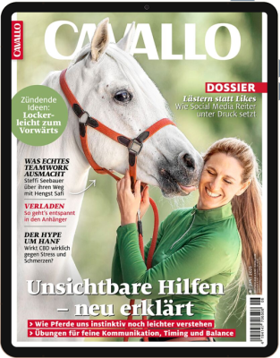 CAVALLO 6/2025 Download 