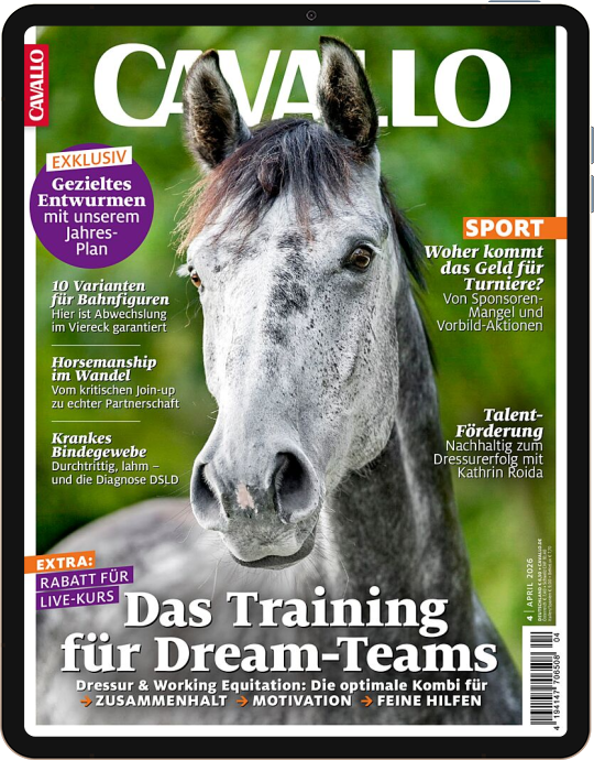 CAVALLO E-Paper